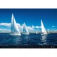 Календарь настенный Helma 2027 By the Sea, 48,5x33,4 см (N264-27) - изображение 11