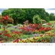 Календарь настенный Helma 2027 Gardens, 45x31,5 см (N130-27) - изображение 3