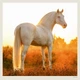 Календарь настенный Helma 2027 Horses, 30x30 см (LP03-27) - изображение 3