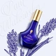 Парфум жіночий Pani Walewska Classic perfume 30 мл - изображение 1