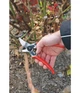 Секатор Felco 11 210 мм діаметр зрізу 25 мм - изображение 6