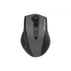 Мишка A4Tech Fstyler FG55S Plus Wireless Grey (4711421003421) - изображение 1