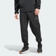 Брюки чоловічі ADIDAS New adidas Z.N.E. JD9599 s, чорний - изображение 2
