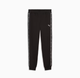 Брюки чоловічі PUMA Essentials Tape Sweatpants Men 69169501 xxl, чорний - изображение 4