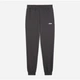Брюки чоловічі Puma Essentials Graphics 68471344 s, темно-сірий - изображение 4