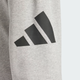Брюки чоловічі ADIDAS Essentials Big Logo French Terry JE8969 m, світло-сірий - изображение 6