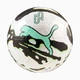 М'яч футбольний Puma Neymar JR Graphic Ball Білий, Чорний, М'ятний 4 (085023-01 4) - изображение 1