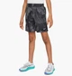 Шорты детские Nike Multi Big Kids Dri-Fit Short M рост 140 см Серый FN8696-010 - изображение 1