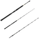Вудилище човнове Daiwa BG Big Game 1.68 м 20-30 lb (11929-165) - зображення 1