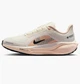 Кросівки жіночі Nike Air Zoom Pegasus 41 Gore-Tex 42.5 Комбінований FQ1357-100 - зображення 1