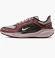 Кросівки жіночі Nike Pegasus 41 Gore Tex Bordo 38 Бордовий FQ1357-200 - зображення 1