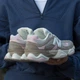 Кросівки New Balance 9060 Brown Rose 40 - зображення 7