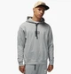 Худи мужское Nike Paris Saint-Germain L Серый DM3096-063 - изображение 1