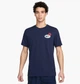 Футболка мужская Nike Dri-Fit Fitness T-Shirt M Темно-синий FV8366-451 - изображение 1