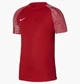 Футболка мужская Nike Dri-Fit Academy L Красный DH8031-657 - изображение 1