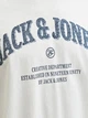 Футболка чоловіча JACK & JONES 12291213 M cloud dancer - изображение 5