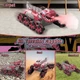 Машинка-трансформер Asson Динозавр 2209 A-Toys на радіокеруванні червона - зображення 5