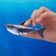 Плаваюча інтерактивна акула Black Robo Shark - зображення 3