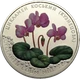 Цикламен коський (Кузнецова) 2 гривні 2014 рік Україна Колекційна монета НБУ (Банківський стан) - изображение 1