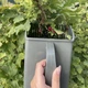 Збирач фруктів ручний Gardlov 24249 22x12x14 см гребінка для ягід металева з ABS-пластику сірий для чорниці лохини смородини малини - зображення 5