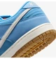 Кроссовки унисекс Nike Sb Dunk Low Pro 41 Голубой FJ1674-401 - изображение 4