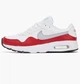 Кросівки чоловічі Nike Air Max Sc 44 Комбінований CW4555-107 - зображення 1