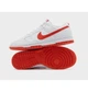 Кроссовки мужские Nike Dunk Low Picante 40.5 DV0831-103 - изображение 4