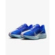 Кросівки чоловічі Nike Pegasus Plus Premium 41 Синій HQ1719-400 - зображення 2