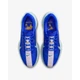 Кросівки чоловічі Nike Pegasus Plus Premium 41 Синій HQ1719-400 - зображення 4