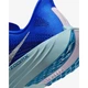 Кросівки чоловічі Nike Pegasus Plus Premium 41 Синій HQ1719-400 - зображення 7