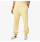 Спортивні штани жіночі Helly Hansen Allure Pant Yellow S Жовті 53982-369 - зображення 1