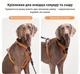 Шлея для собак Duomm No-Pull с поводком, регулируемая и светоотражающая оранжевый, XL (294XL-ORANGE) - изображение 5
