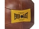 Груша пневматична EVERLAST 1910 Pro Speed Bag 10 x 7 коричневий (6165) - изображение 4