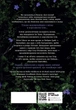 Книга Безсила. Лорен Робертс - изображение 2