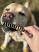 Ласощі для собак WAUDOG Treats Dental Паличка для чистки зубів з м'ятою і розмарином, 105 г (4431) - зображення 13