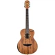 Акустическая гитара Washburn Wcgm55K-D-U (531849) - изображение 1