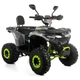 Квадроцикл XTR FORREST PRO 125 см2 зелений - зображення 1