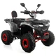 Квадроцикл XTR FORREST PRO 125 см2 червоний - зображення 1
