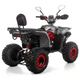 Квадроцикл XTR FORREST PRO 125 см2 червоний - зображення 3