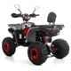 Квадроцикл XTR FORREST PRO 125 см2 червоний - зображення 4