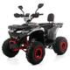 Квадроцикл XTR FORREST PRO 125 см2 червоний - зображення 6