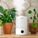 Увлажнитель воздуха Levoit Smart Humidifier Dual 200S HEAPHULVSEU0035 3 л белый - изображение 4