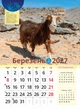 Астрокалендар 2027 Рік Червоної Вогняної Кози із серії Світовид - изображение 4