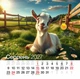 Календар 2027 Рік Кози (Funny Goat) із серії Свято кожен день - зображення 9
