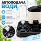 Автоматическая кормушка 2 в 1 для кошек и собак с поилкой и контейнером для сухого корма, черная с белым - изображение 2