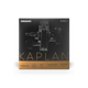 Струни для скрипки D'Addario KAPLAN AMO VIOLIN STRING SET 4/4 Scale Medium Tension - зображення 1