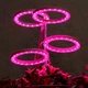 Фитолампа для растений с 4 кольцами на USB-питании полный спектр 80 LED 25 см для комнатных цветов и рассады с таймером и регулировкой - изображение 2
