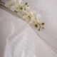 Простынь Cotton Twill 55-0004 Santina 150*220 - изображение 2