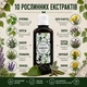 Шампунь Против Перхоти с Березовым Дегтем и Серой Новая Жизнь (New Life) Для Волос и Кожи Головы 100 мл - изображение 3