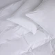 Простирадло Варена бавовна 40-0014 "Meredith" 150*220 - зображення 1